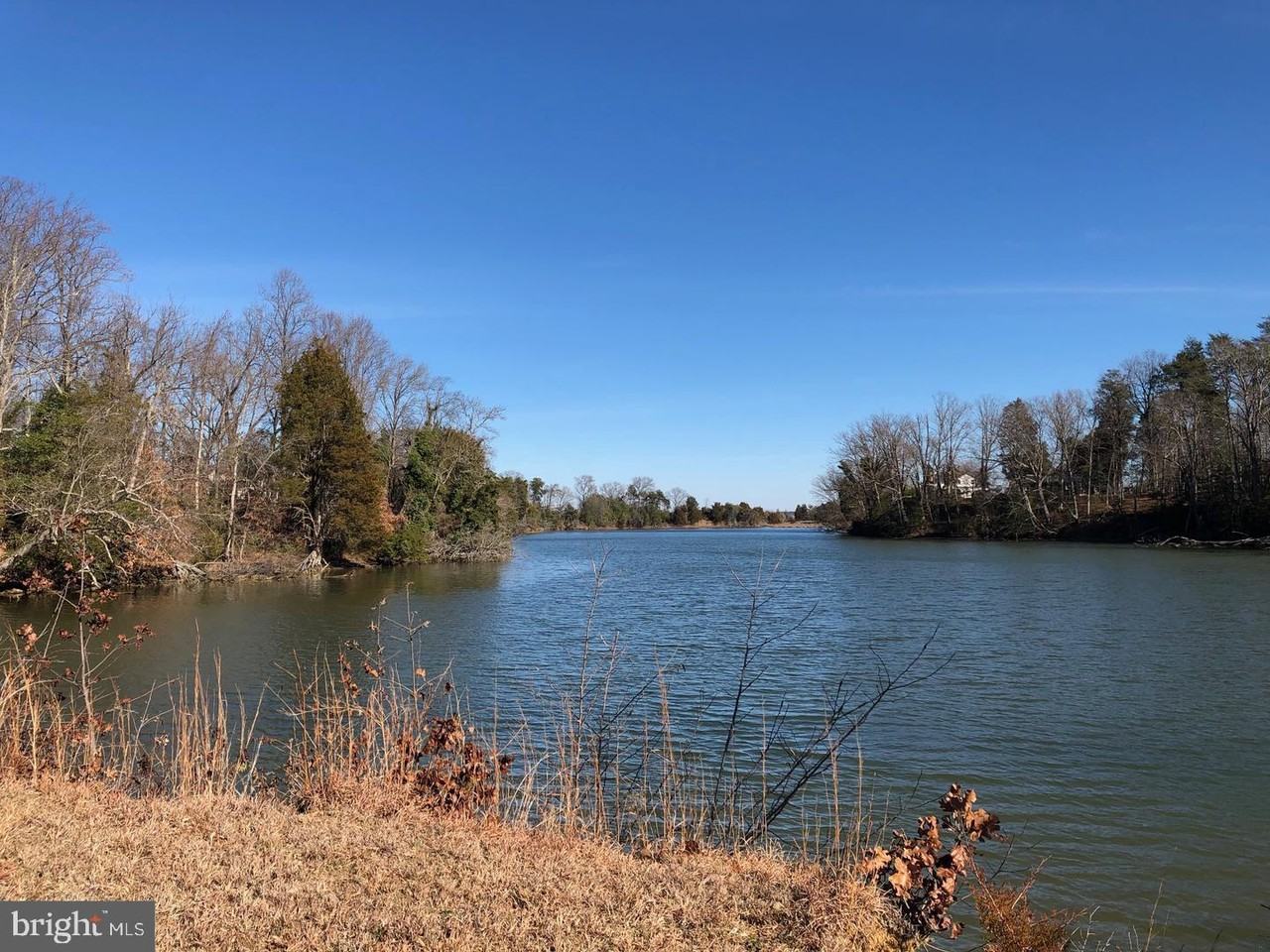 46420 Rue Purchase Rd - Photo 4 of 18