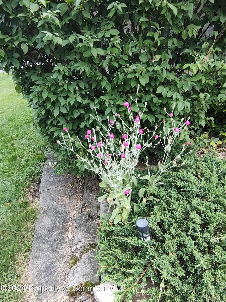 210 Wyalusing St - Photo 2 of 20