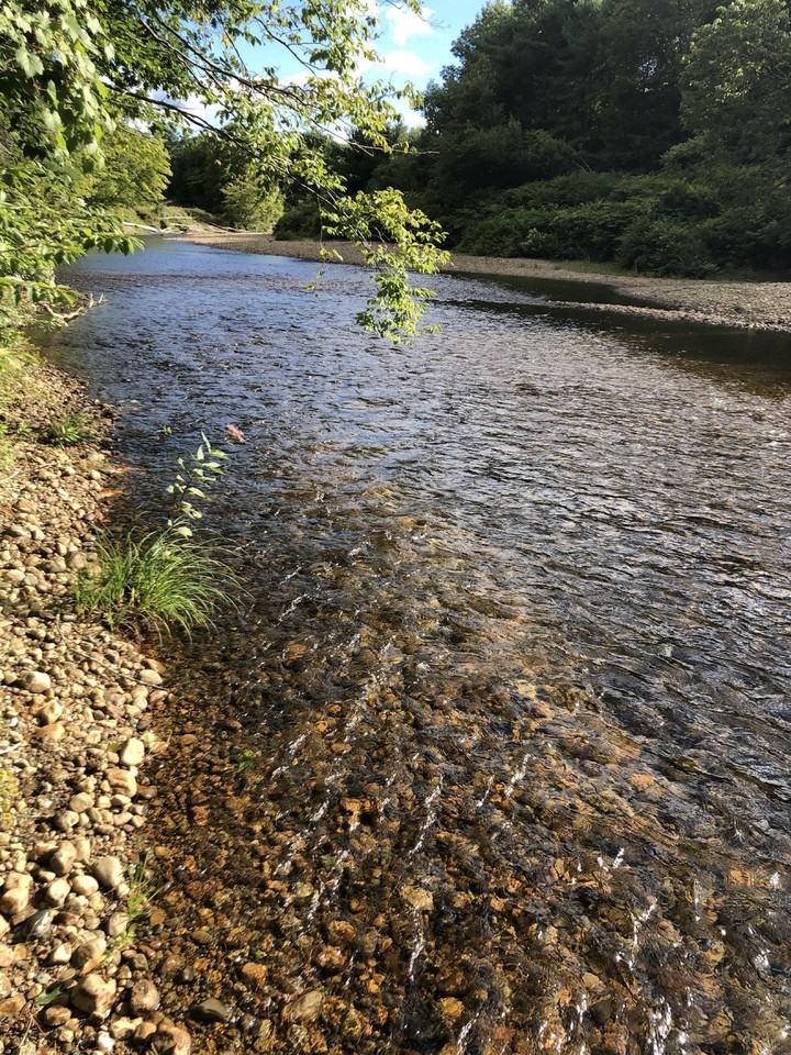 2425 Buffalo Rd - Photo 3 of 44