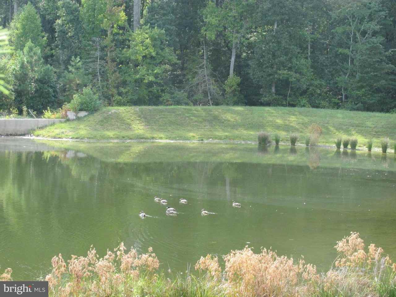 21551 Port Ct - Photo 6 of 47