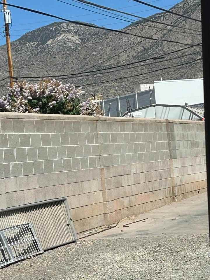 2300 Jane St Ne - Photo 3 of 15