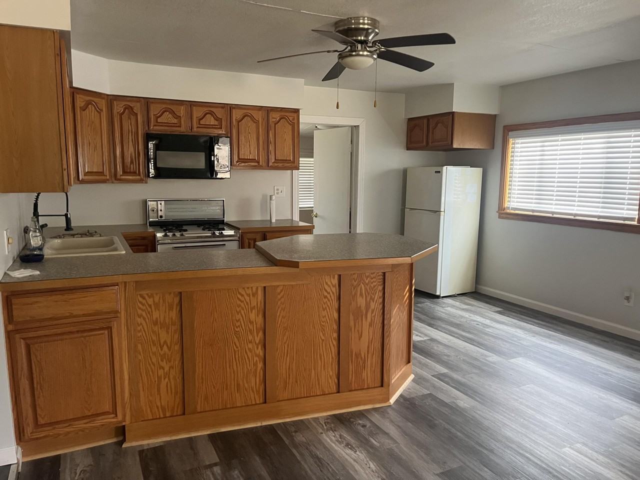 1360 E Hastings Lake Rd - Photo 3 of 10