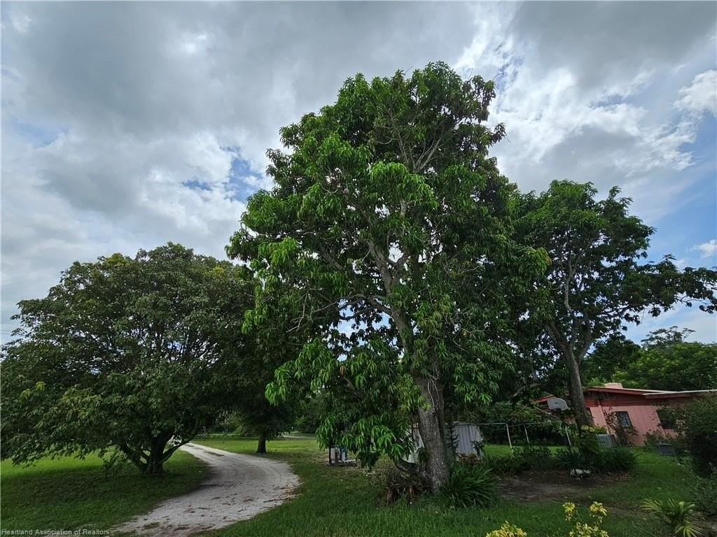 1006 Marble Ave - Photo 2 of 20