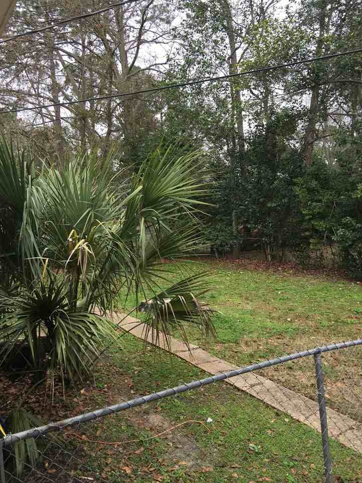 902 Wadsworth St - Photo 3 of 21