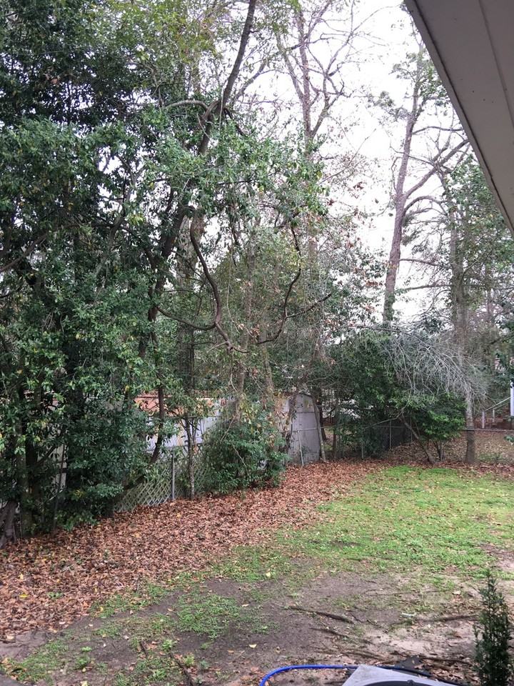 902 Wadsworth St - Photo 5 of 21