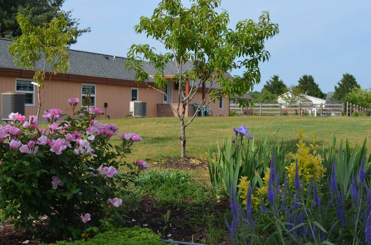 33538 Wilgus Cemetery Rd #NA - Photo 3 of 13