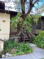 Highland Road Duplexes - Photo 1 of 1