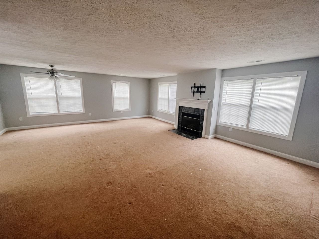 295 Silver Leaf Dr - Photo 6 of 15