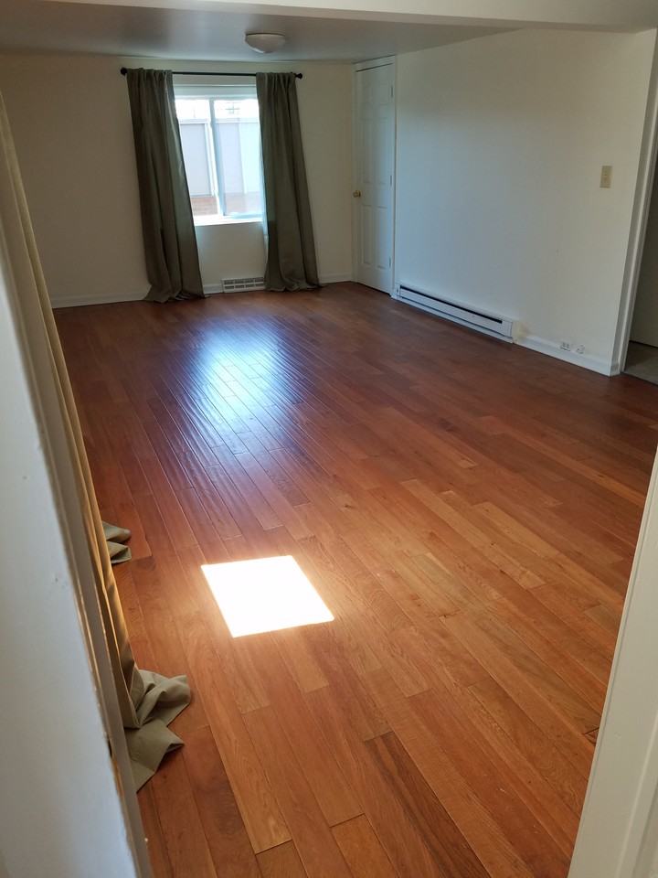 E Spruce St & Bingham Ave #4