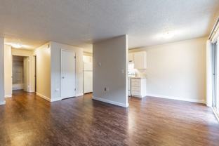 Cameo - Photo 1 of 1