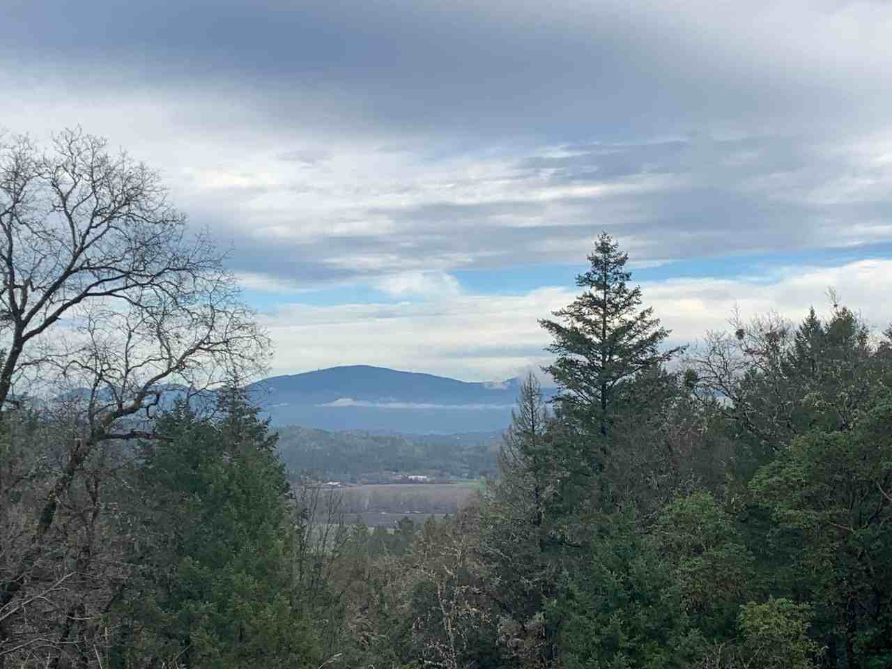 101 Sloan Mountain Ln - Photo 3 of 3