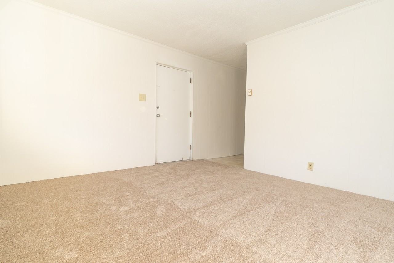 124 Fidelity St - Photo 5 of 7