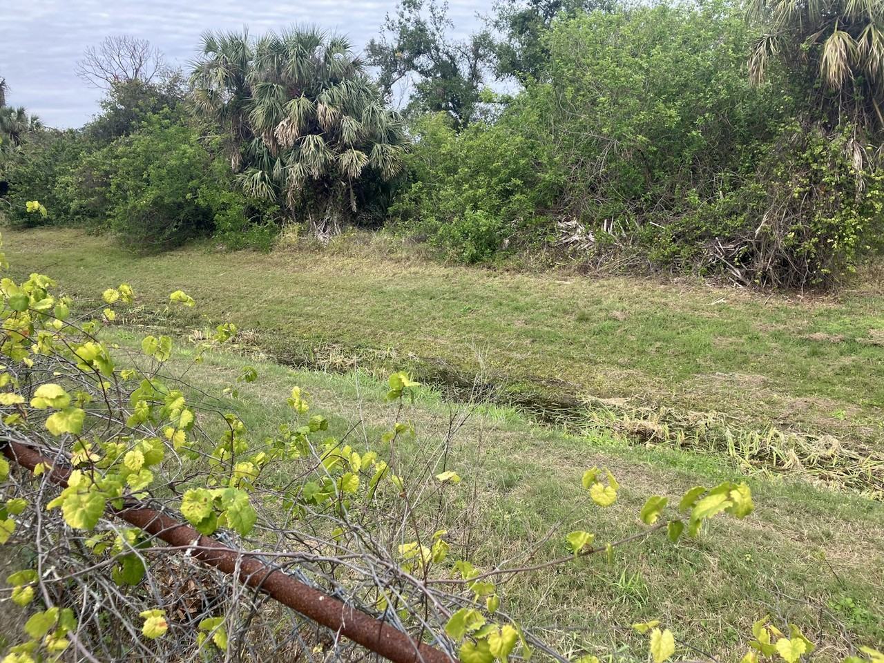 4410 Cazes Avenue - Photo 6 of 23