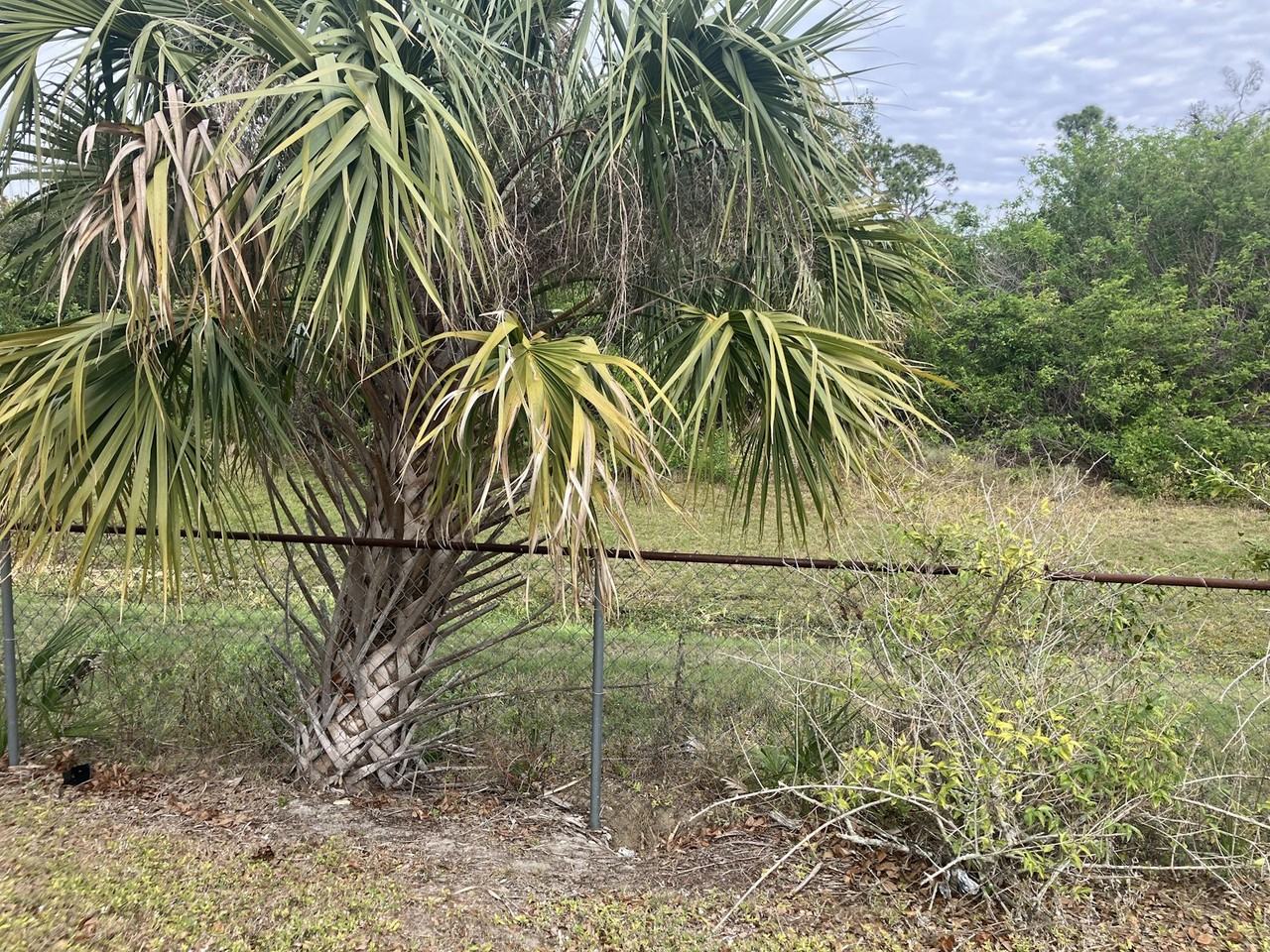 4410 Cazes Avenue - Photo 7 of 23