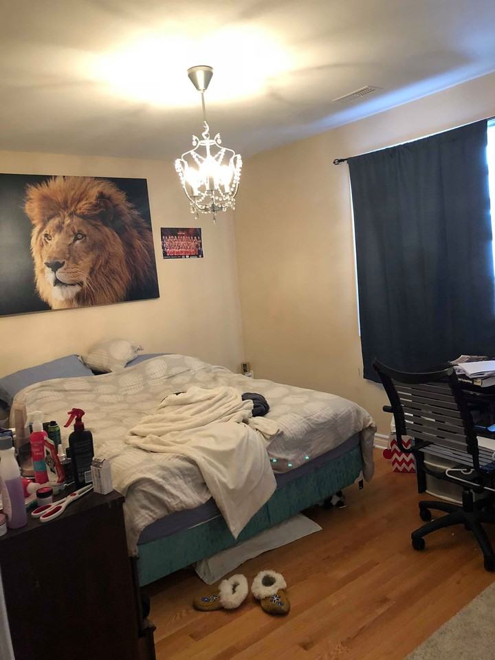 2-348 Stewart Street - Photo 4 of 15