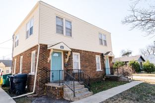 Shepherd - Photo 1 of 1