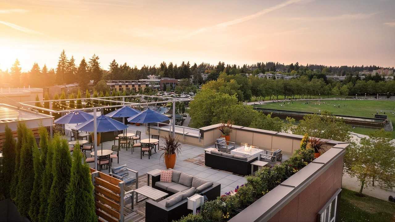 The Margot - Photo 6 of 34