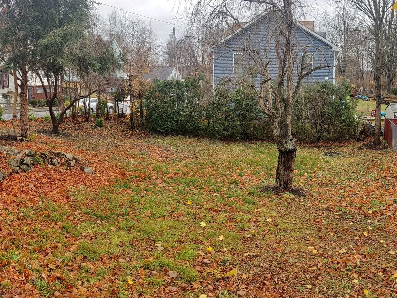 102 Red Mountain Avenue - Photo 4 of 9