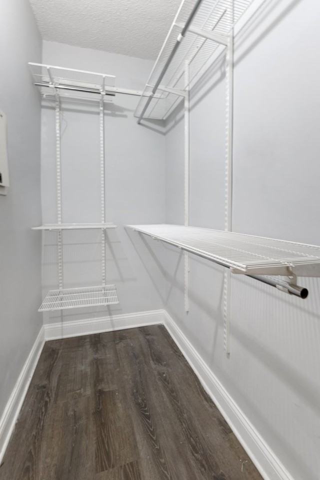 The Legacy HB at Clarendon Park - Photo 5 of 37