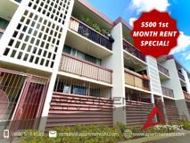 816 Birch Street #306 - Photo 1 of 1