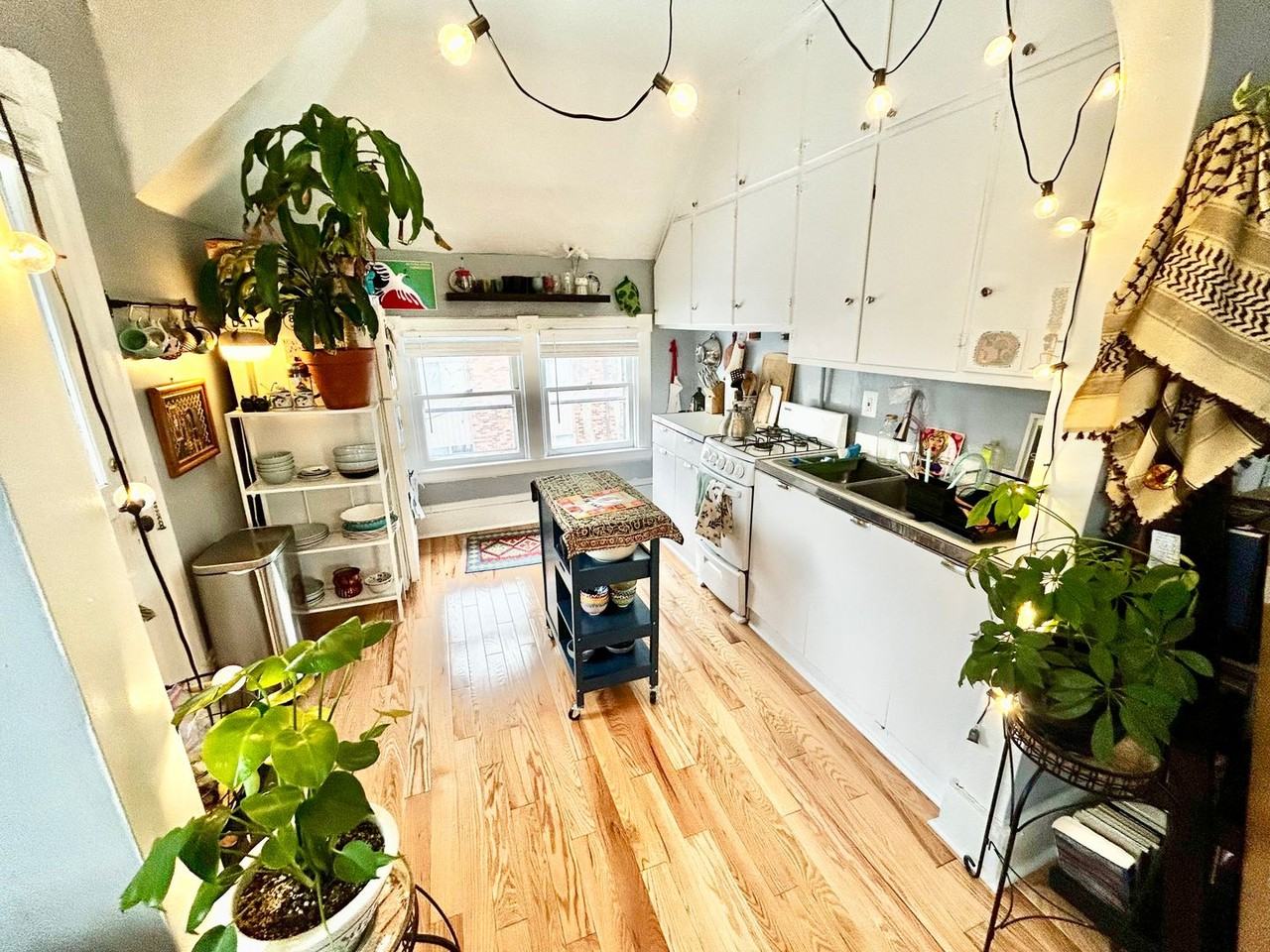 Varsity Management - Photo 5 of 23