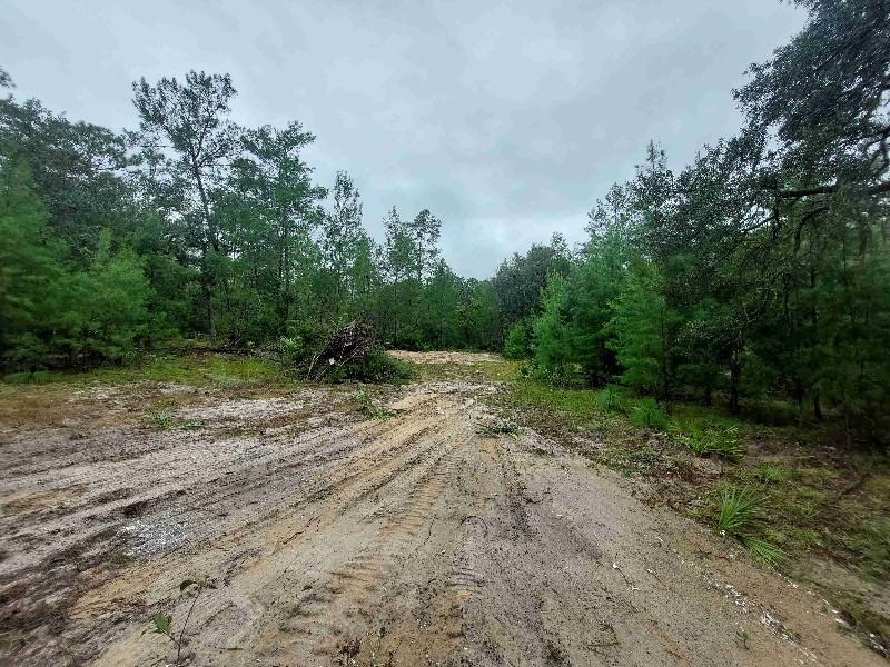 15154 Se 291st Ave - Photo 3 of 13