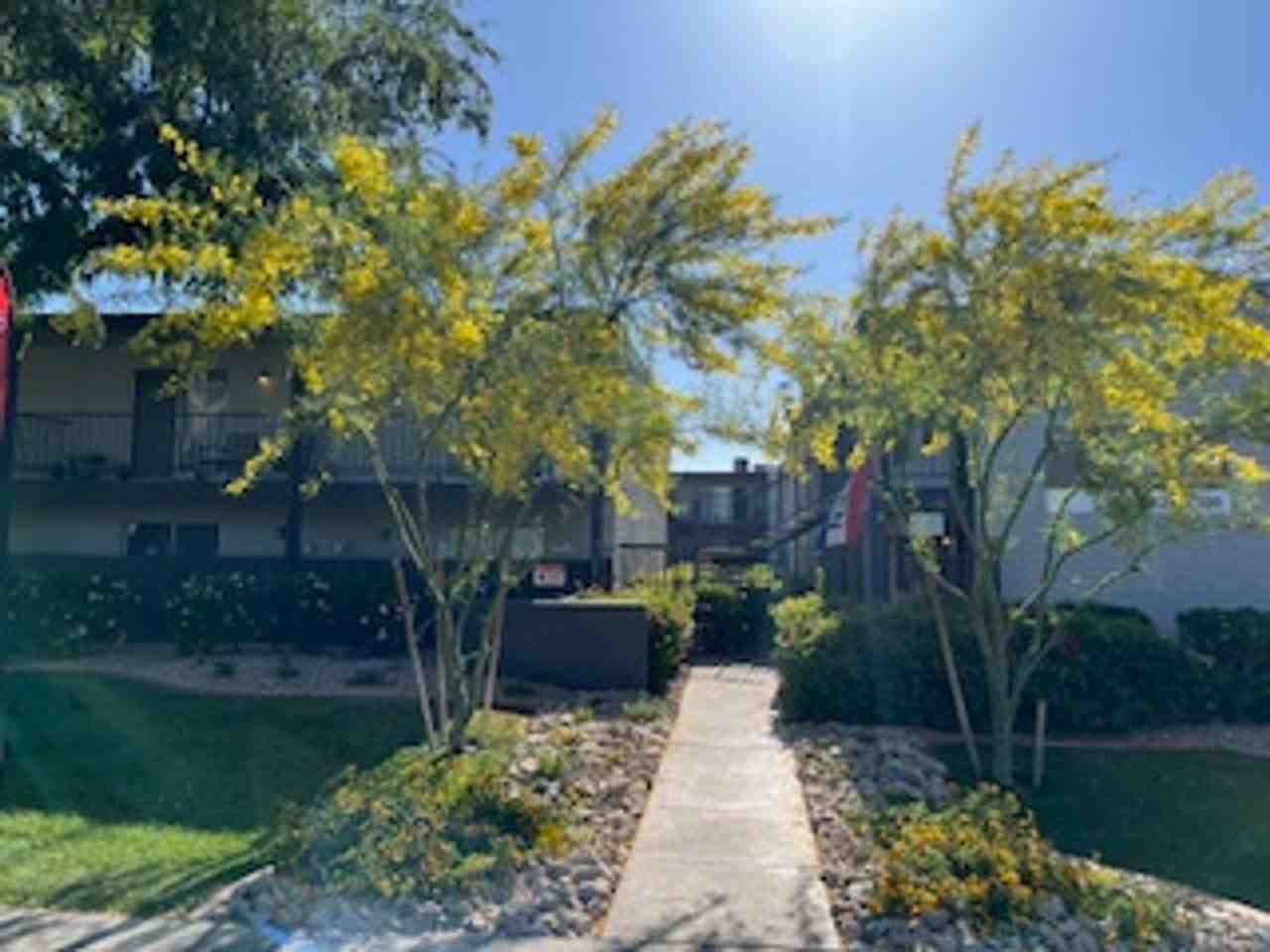 The Courtyards '25 - Photo 2 of 13