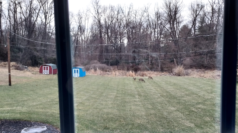 1311 Murgatroyd Rd - Photo 3 of 14