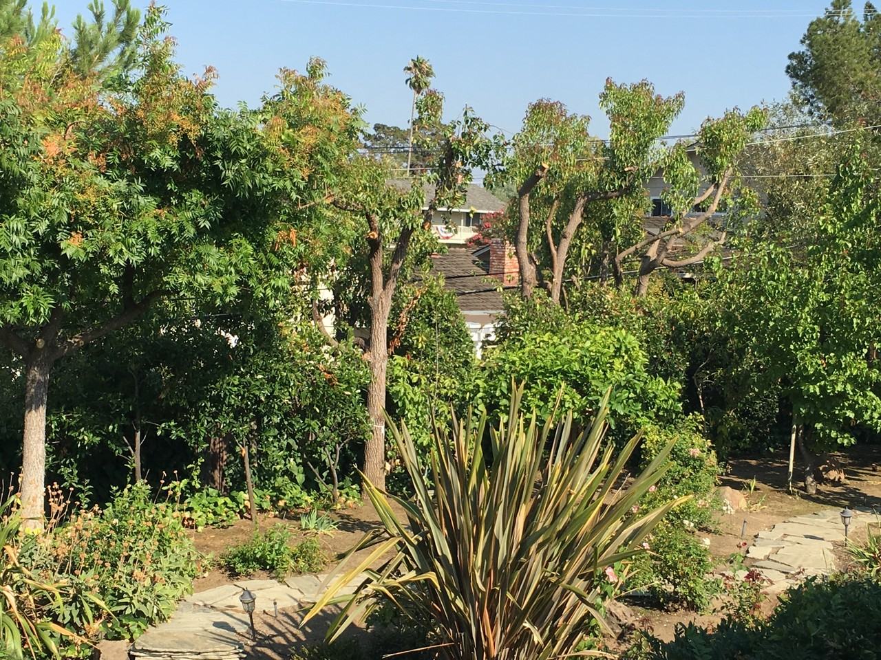 6536 Little Falls Dr #1 - Photo 2 of 20