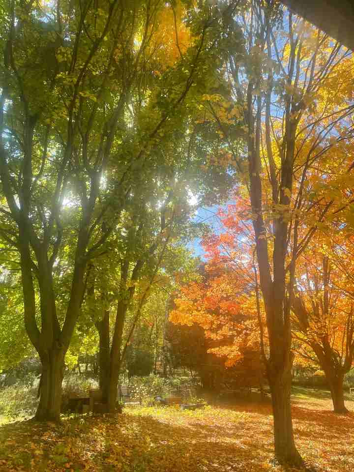 801 Oakland Dr #B - Photo 5 of 29