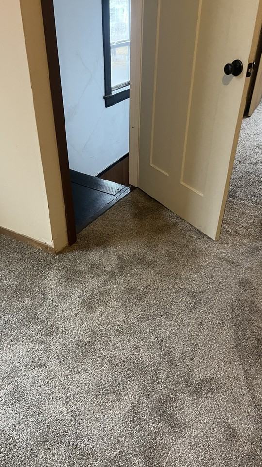 2113 Oakes Ave #2UPPER - Photo 2 of 20