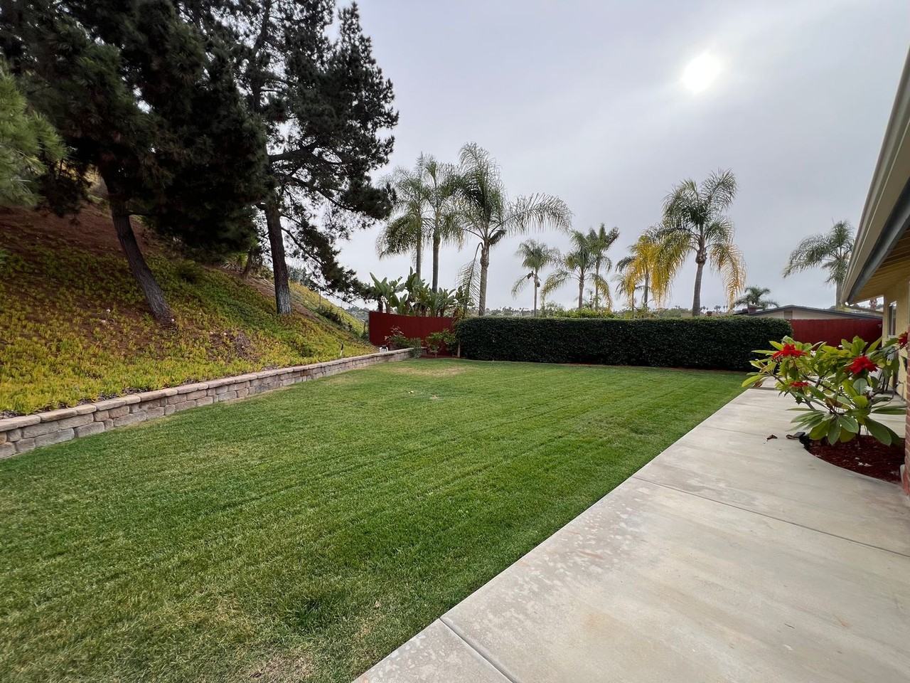 295 Camino Del Cerro Grande - Photo 2 of 48