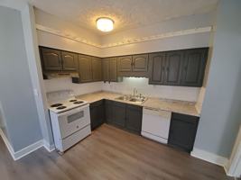 featured image of 519 Homewood Ave