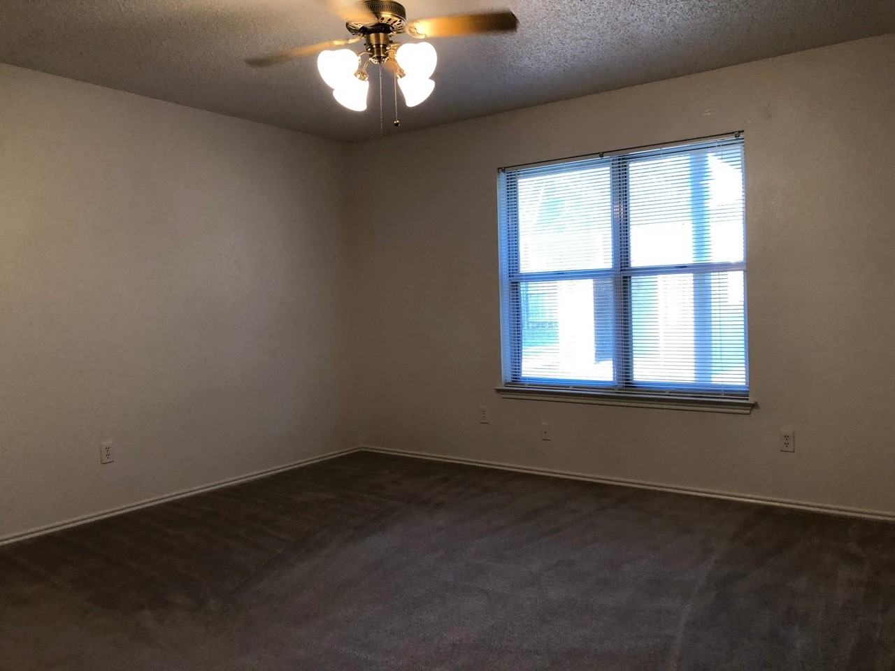3008 Timothy Ln - Photo 6 of 16