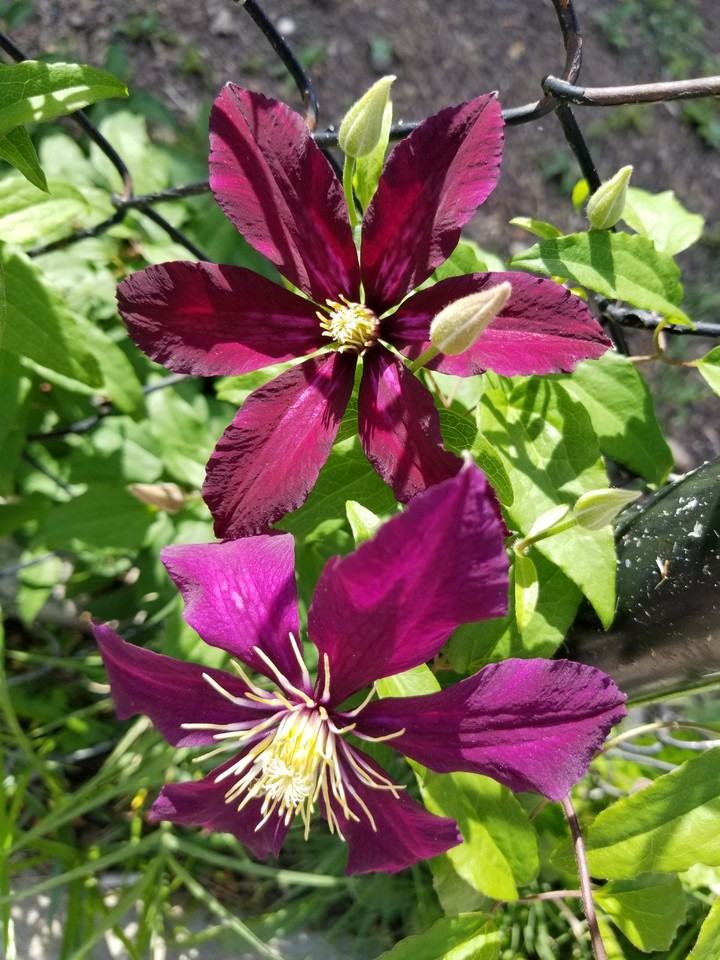 1248 16th St Ne #A - Photo 3 of 34