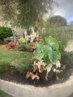 featured image of 302 Saint Lawrence Ave