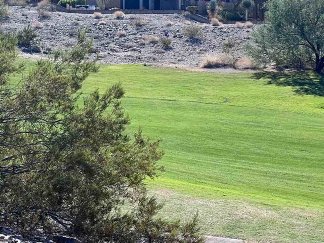 2818 Fort Silver Dr - Photo 3 of 50