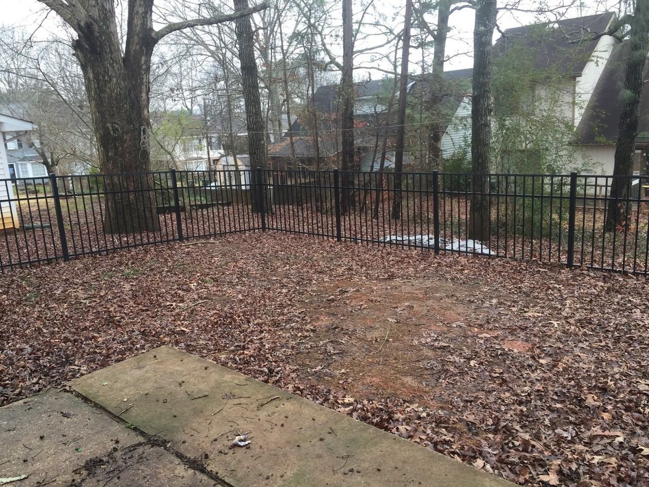 842 Chickasaw Ave - Photo 4 of 18