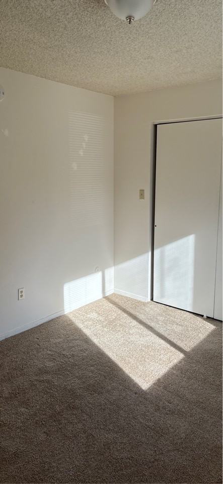 1384 Pioneer Road - Photo 3 of 15