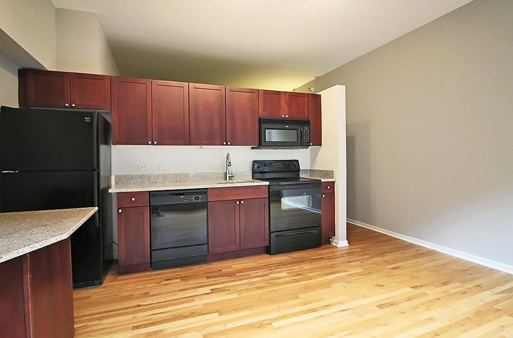 343 S Dearborn St #1-1DEN - Photo 3 of 16