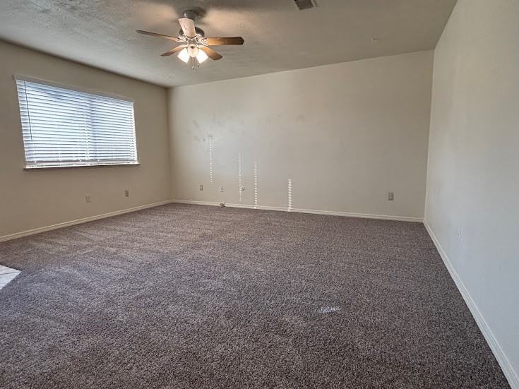 419 Cinnamon Ln - Photo 3 of 14