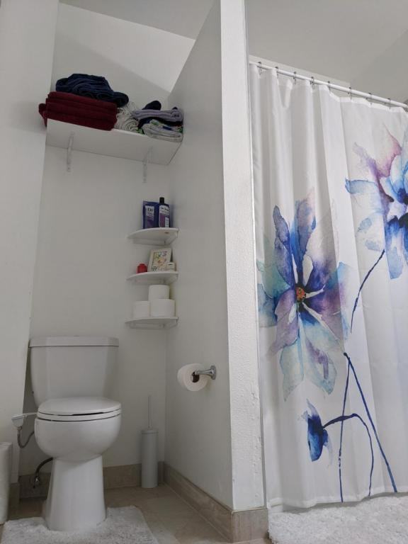 3622 Adeline St #3622 - Photo 4 of 8