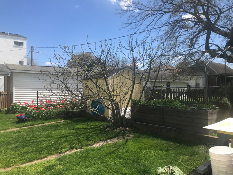 220 Potomac Ave #A - Photo 3 of 3