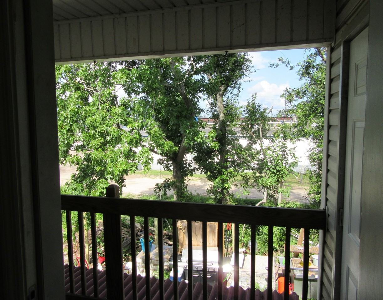 1202 Pennsylvania Ave #D - Photo 4 of 17