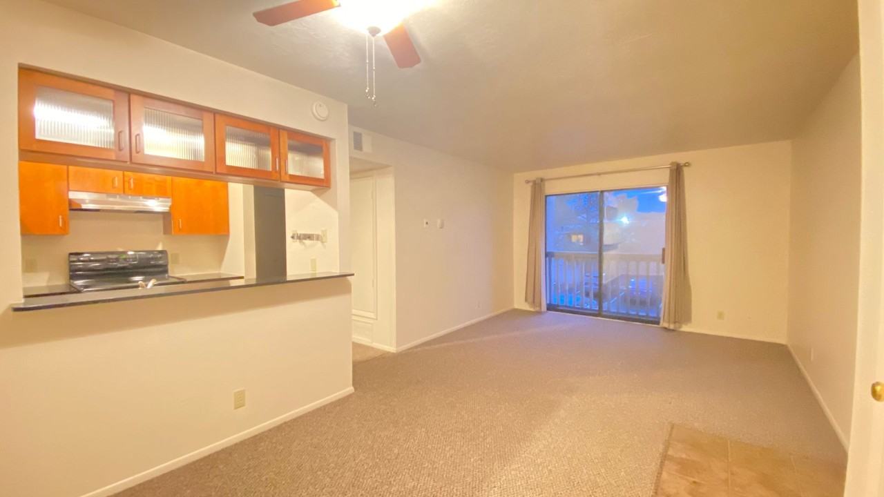 941 Calle Mejia #907 - Photo 4 of 25