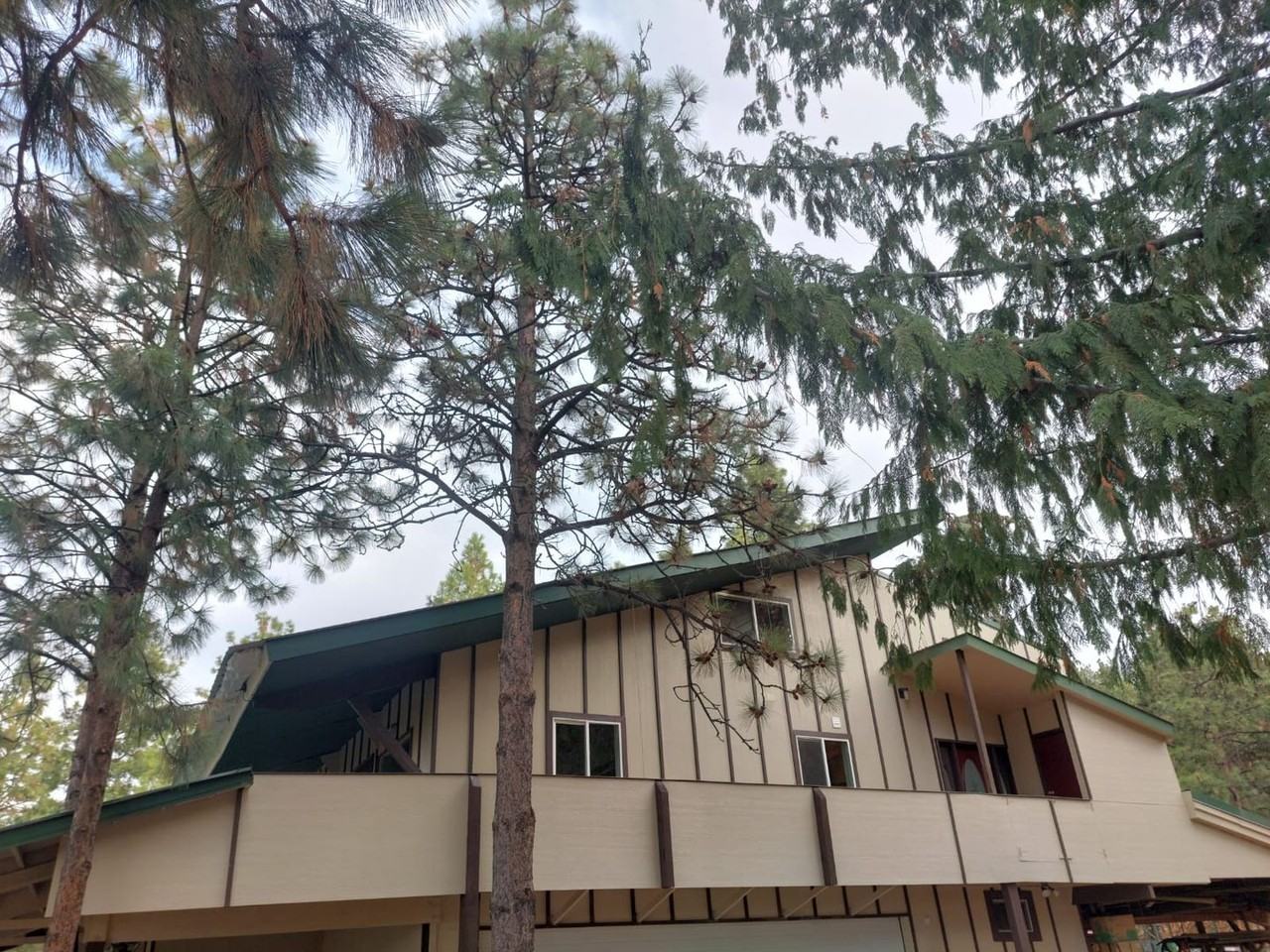 777 Black Forest Rd - Photo 2 of 38