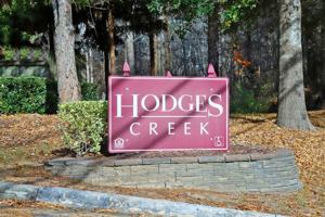 featured image of 2010 Hodges Creek Drive