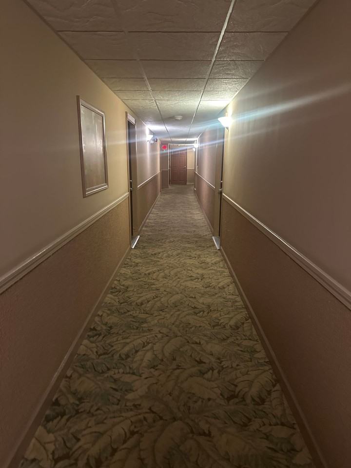 2121 S. Wolf Road - Photo 3 of 19