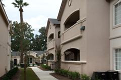 VALLEY OAK - Photo 1 of 1