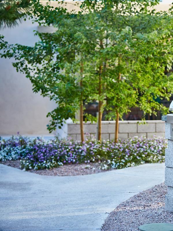 8310 W McDonald Dr - Photo 5 of 46